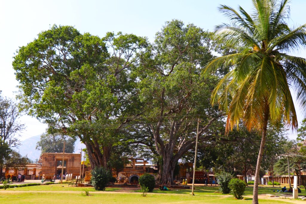 Bhoganandishwara Temple Karanataka History Architecture