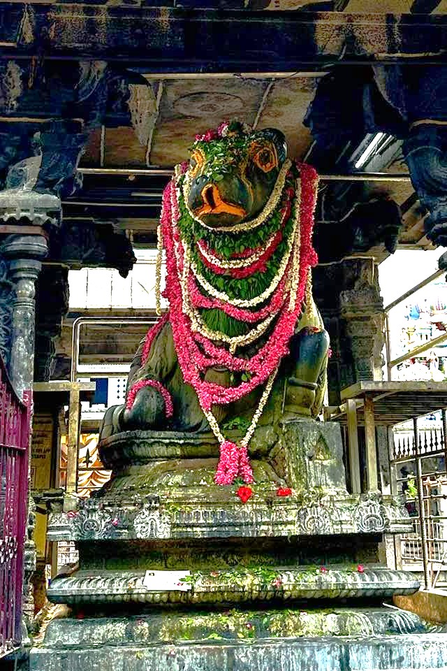 Decorated Nandi in Arunachaleshwarar Temple