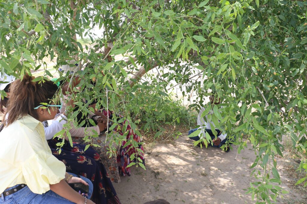 Dholavira Harappan Site in Gujarat