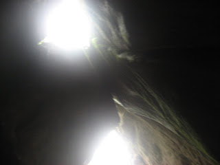 Edakkal Caves Wayanad