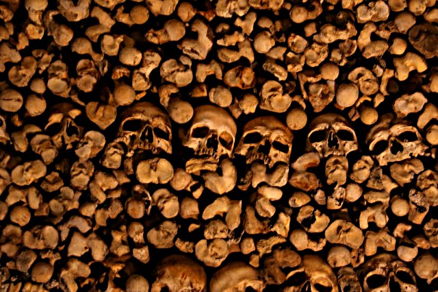 Evora History in bones of 5000 people