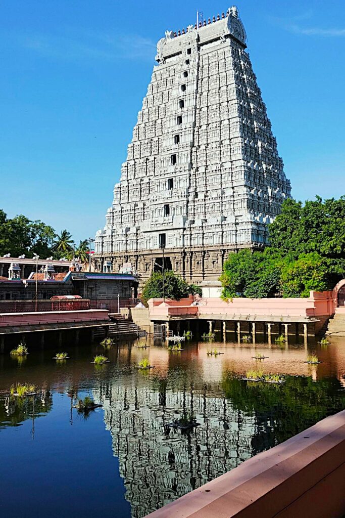 Golden Lotus Tank Meenakshi Amman Temple Madurai