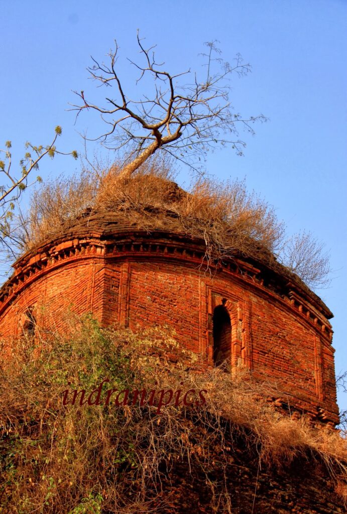 Hidden and Inaccessible Terracotta Shrine