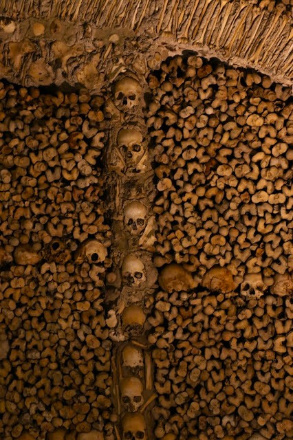 Human remains look essentially the same