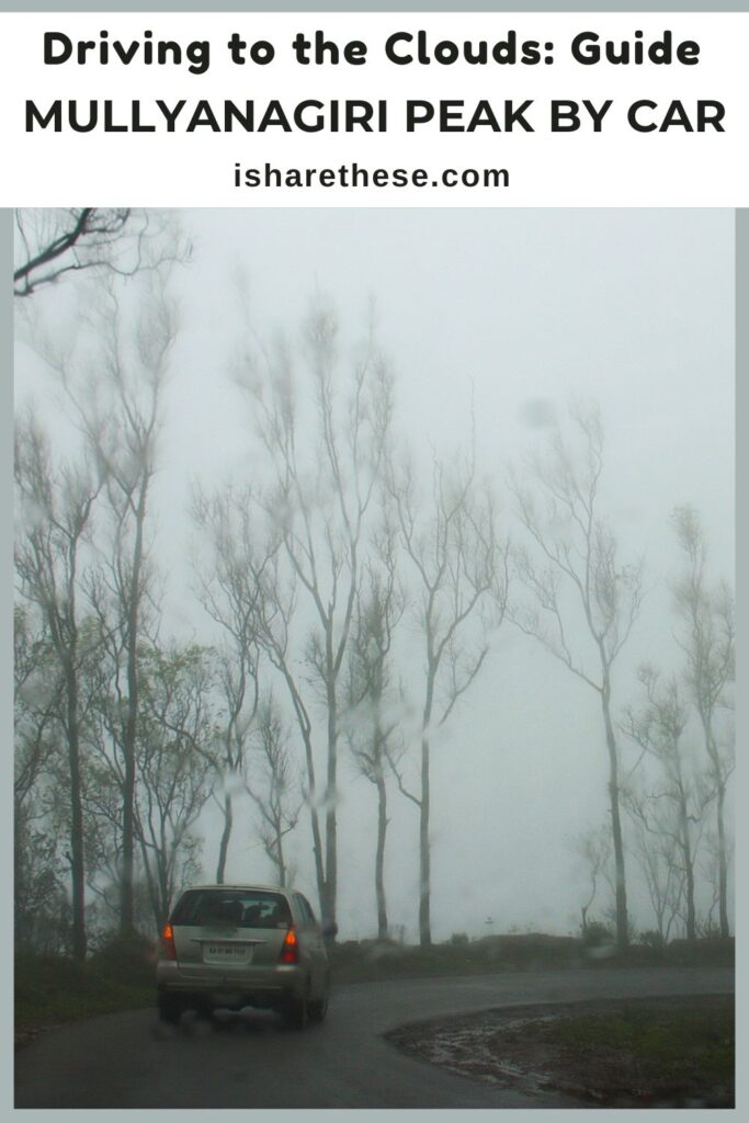 Mullayanagiri Peak by Car Guide by Indrani