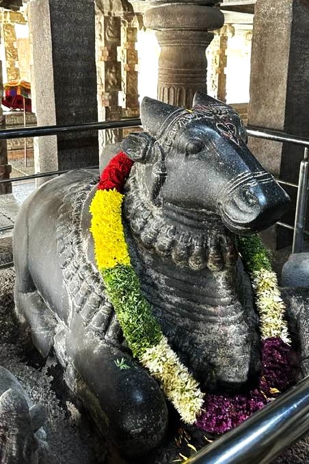 Nandi in front of Bhoganandishwara Shrine