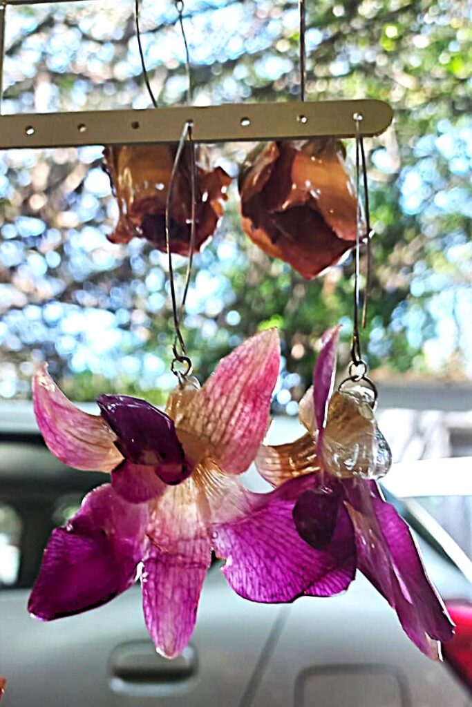 Orchid preserved in Resin