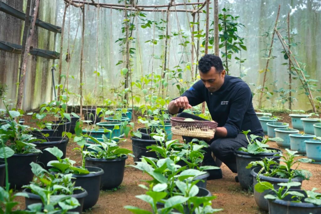 Rasa Haya restaurant Santani