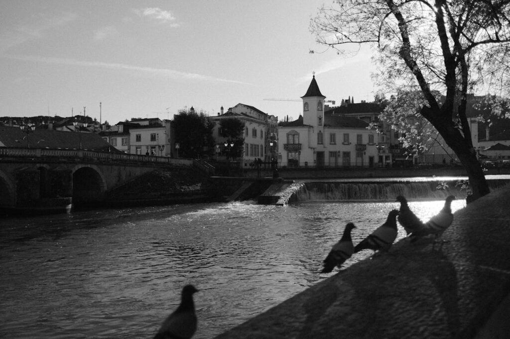 River Scene in Tomar, Portugal