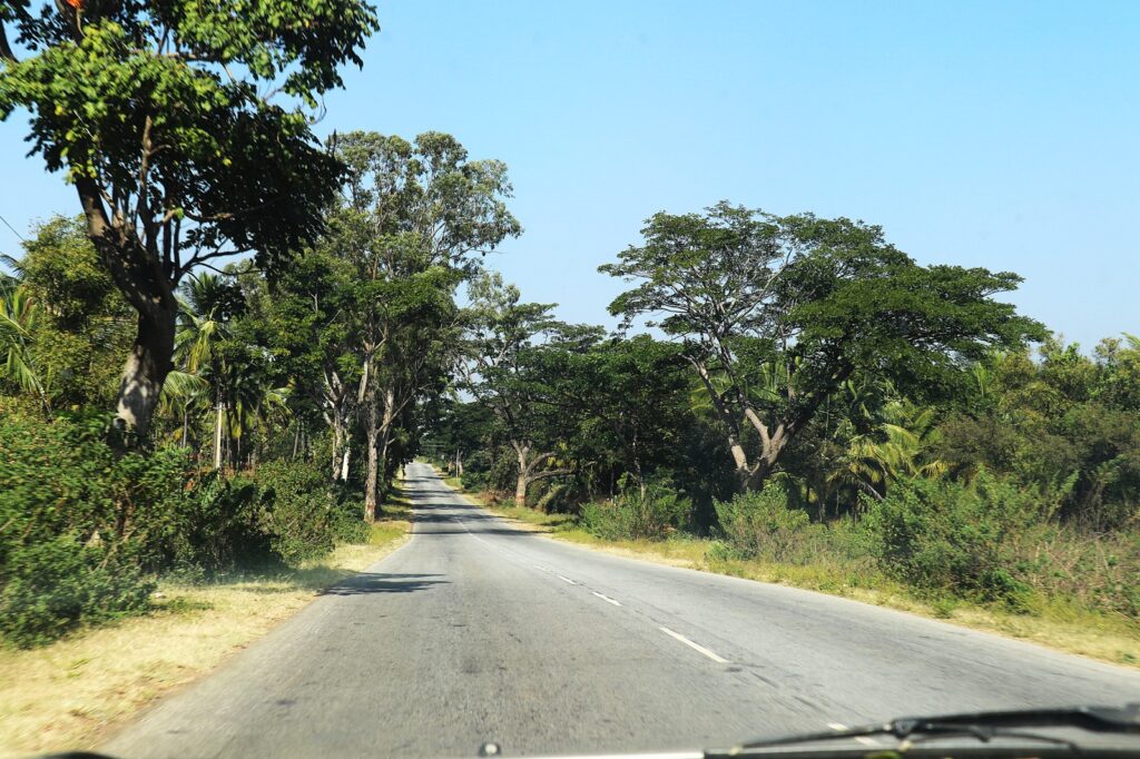 Road Trip to Jog Falls from Bangalore