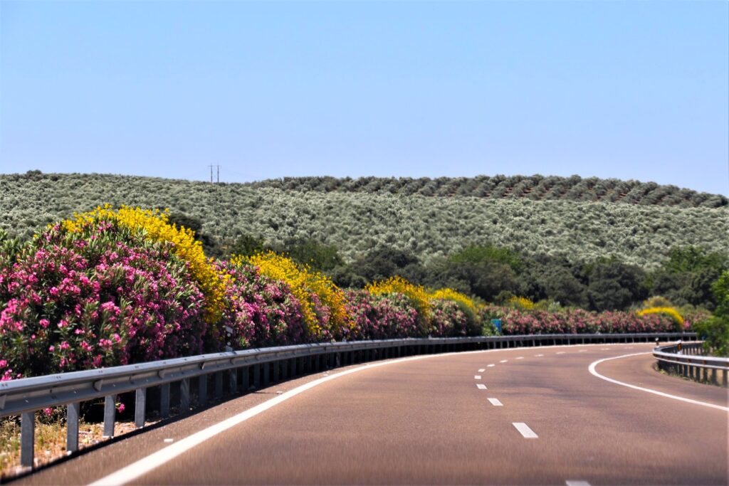 5 Days Portugal Itinerary Road trip by Indrani Ghose