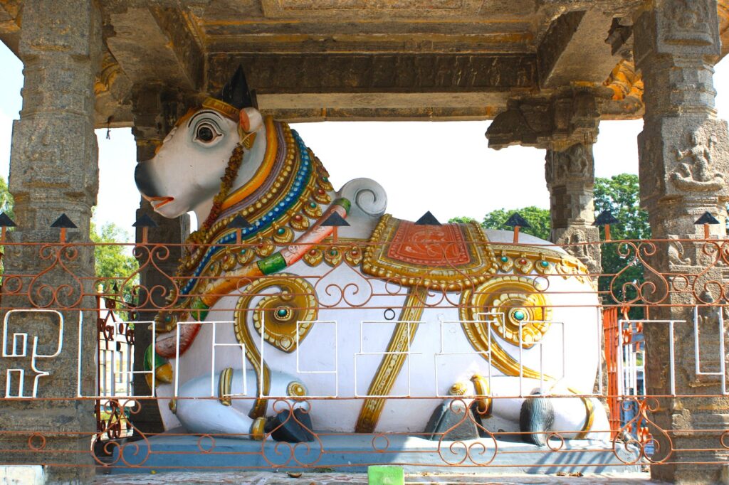 Statue of huge Nandi statue in Ekambeswarar Temple Kanchipuram