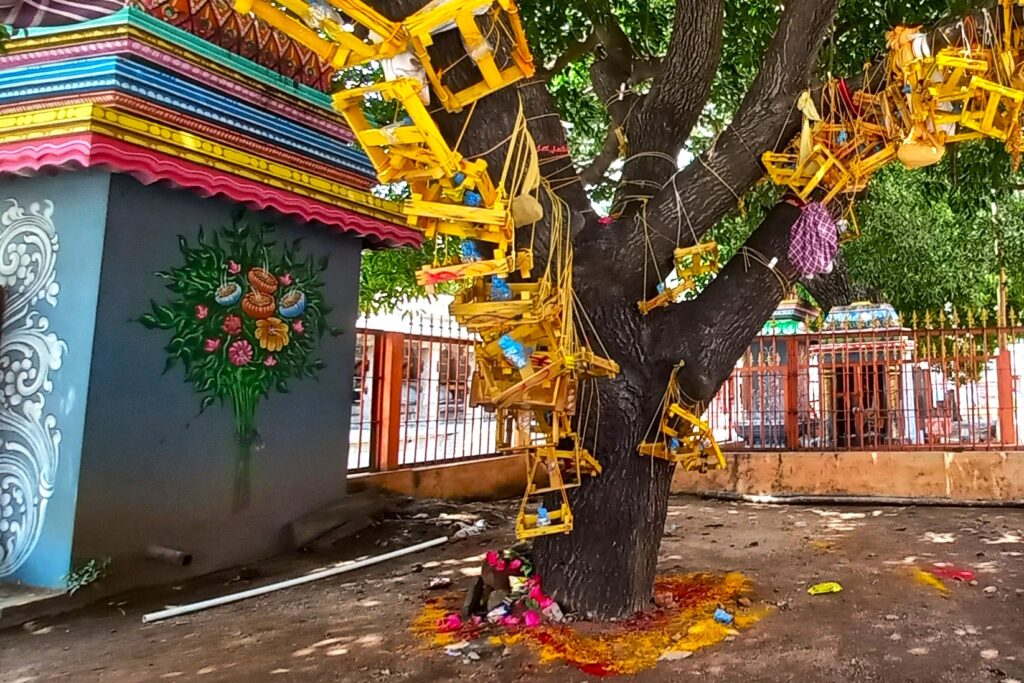 Sthalavirucham Magizhamaram