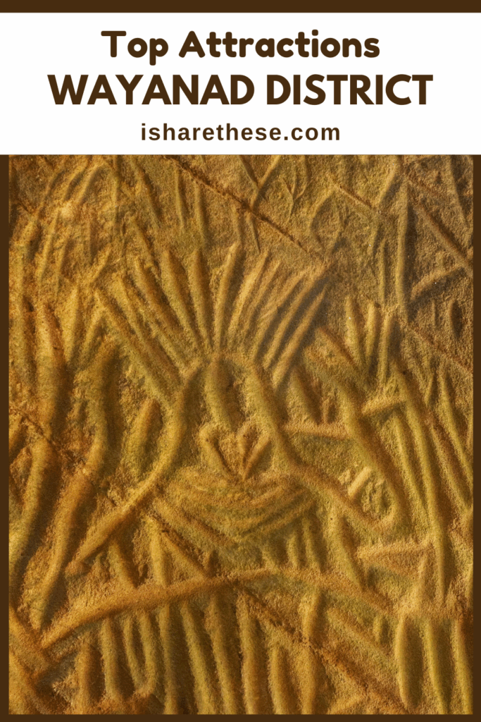 Top Attractions in Wayanad District