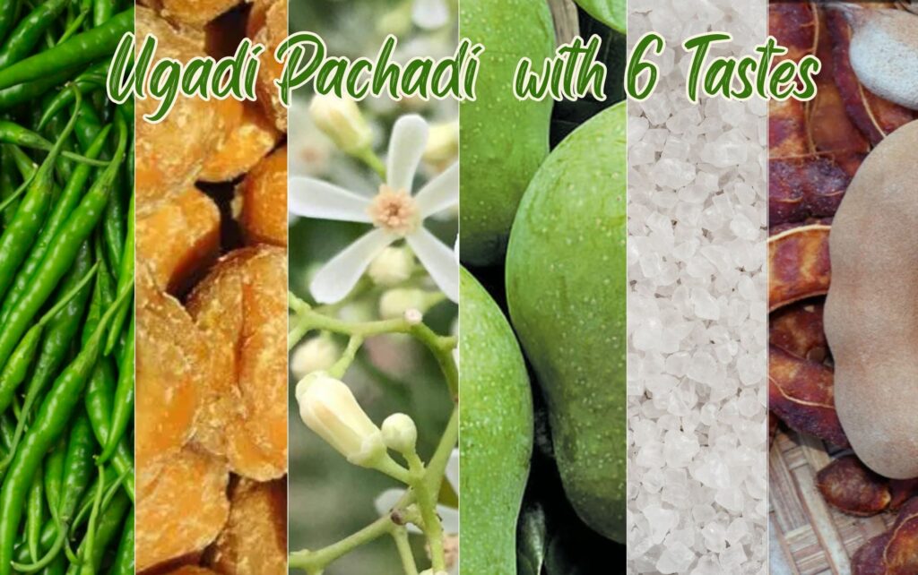 Ugadi Pachadi - Festival of March