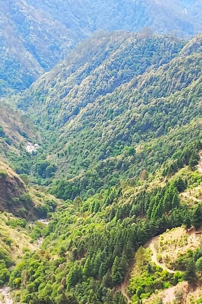 Panoramic view of the green tree covered valley 