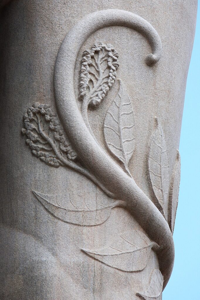 Vines growing on arms