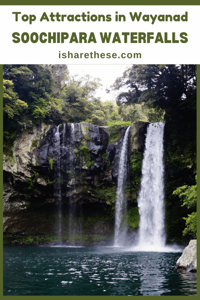 Wayanad Soochipara Waterfalls