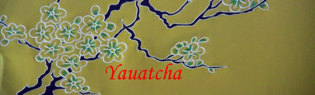 Yauatcha MG Mall a Michelin Starred Restaurant in Bangalore