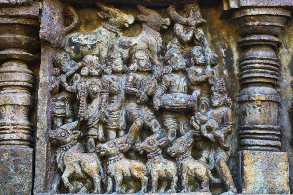 Young Krishna playing flute with Gopikas while grazing cows
