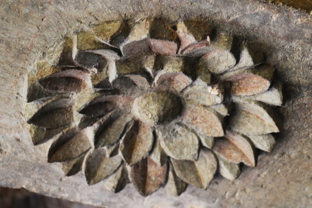 concentric floral pattern